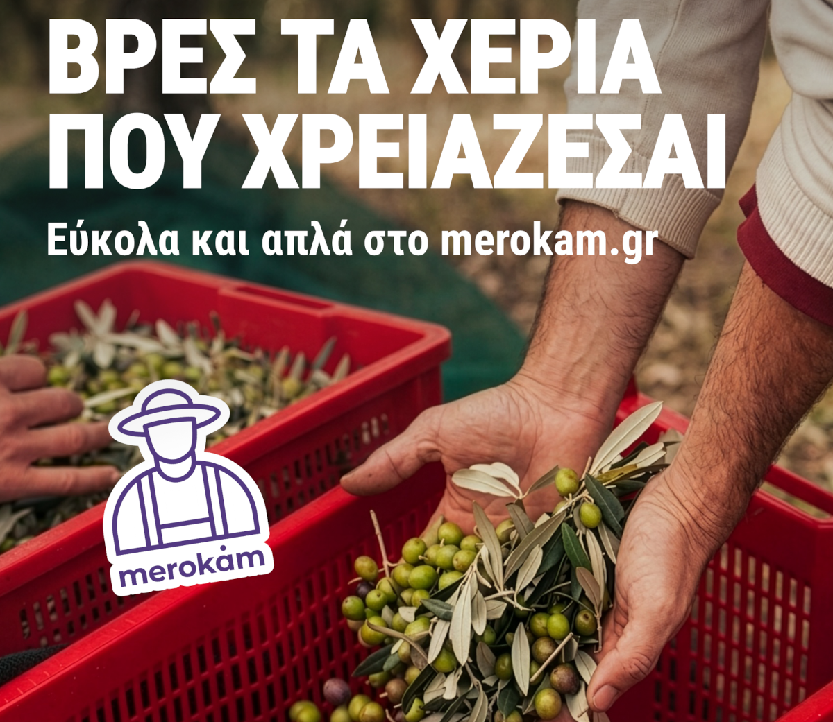 Γεωπόνος σε καλλιέργεια
